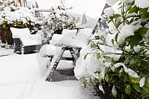 Garden plants and chairs under snow