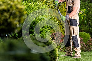 Garden Plants Shaping Work Performed by Professional Gardener