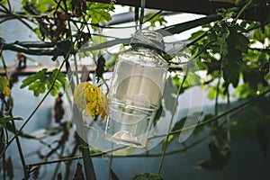 Garden Plastic Bottle Close Shot