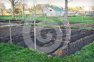 Garden Plot