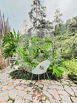 Garden plower plant chair tree