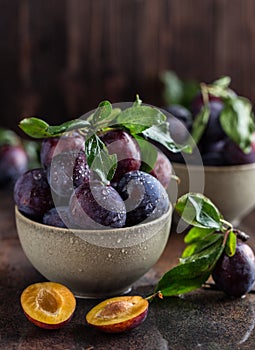 Garden plums on table. Close up of fresh plums with leaves. Autumn harvest of plums.