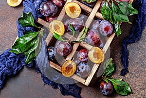 Garden plums on table. Close up of fresh plums with leaves. Autumn harvest of plums.