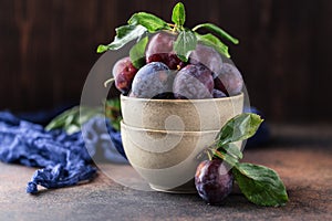 Garden plums on table. Close up of fresh plums with leaves. Autumn harvest of plums.