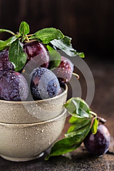 Garden plums on table. Close up of fresh plums with leaves. Autumn harvest of plums.