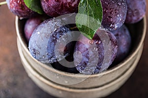 Garden plums on table. Close up of fresh plums with leaves. Autumn harvest of plums.