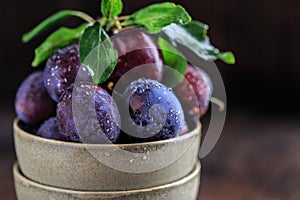 Garden plums on table. Close up of fresh plums with leaves. Autumn harvest of plums.