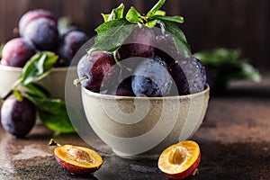 Garden plums on table. Close up of fresh plums with leaves. Autumn harvest of plums.