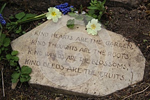 Garden poem on stone with primroses kindness concept photo