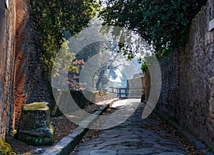 Garden in Pompeii photo