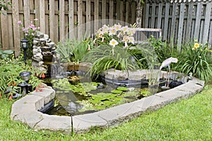 Garden Pond