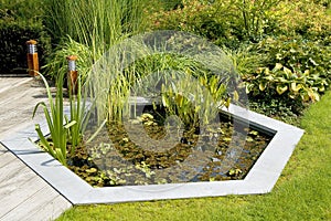 Garden Pond