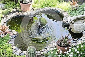 Garden pond with fountain