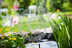 The garden pond