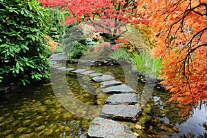 Garden pond and road