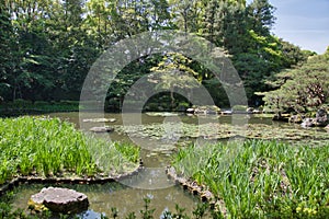 The garden pond of Shinen inside the Heian-Jingu shrine. Kyoto Japan