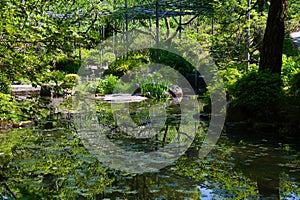 The garden pond of Shinen inside the Heian-Jingu shrine. Kyoto Japan
