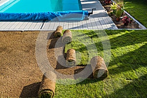 Garden Poolside Natural Grass Turfs Reinstallation During Spring Time