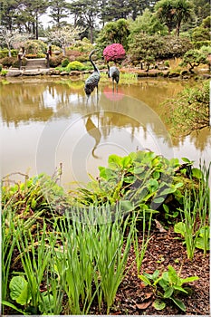 Garden portrait