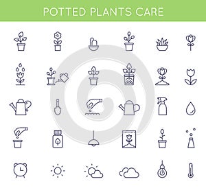 Garden and Potted Plants Care Instructions Icons and Pictograms. Vector Flat Outline Symbols