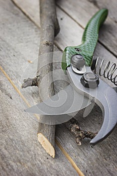 Garden pruner with plastic handles on a wooden table. Graftage