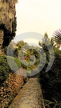 Garden of Puerta Oscura- park of Malaga -Andalusia