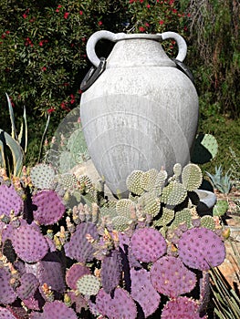 Garden: purple cactus with urn