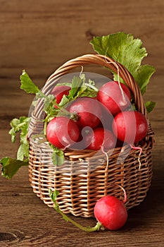 Garden radish.