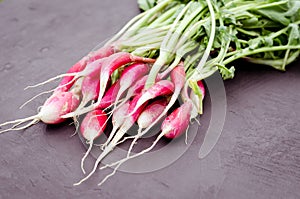 garden radish on a dark stone background/garden radish on a dark stone background, selective focus