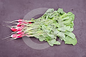 garden radish on a dark stone background/garden radish on a dark stone background, top view