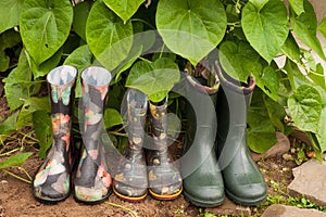 Garden Rainy Rubber Shoes In Garden.