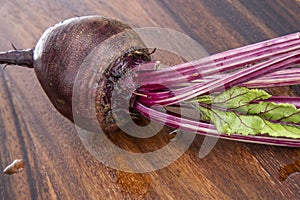Garden raised beets