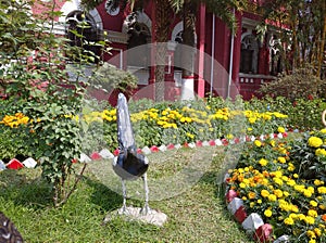 Garden of Rajshahi college photo