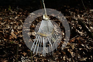 Garden rake is especially helpful in fall foliage leaves