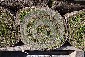 Garden reconstruction works in progress, new plants ready for planting in spring