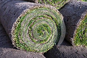 Garden reconstruction works in progress, new plants ready for planting in spring