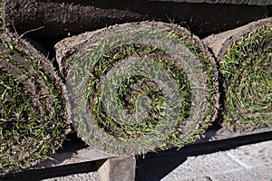 Garden reconstruction works in progress, new plants ready for planting in spring