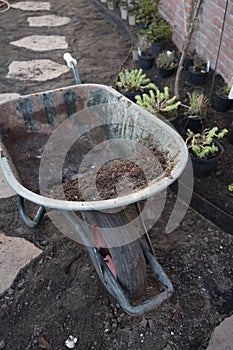 Garden reconstruction works in progress, new plants ready for planting in spring