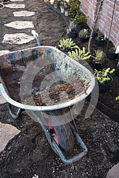 Garden reconstruction works in progress, new plants ready for planting in spring