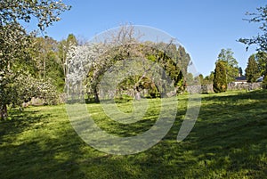 Garden of Red Mansion (flowering in May)