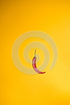 Garden red pepper isolated on yellow background