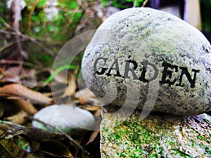 Garden Rock Stone with blurred background Foiliage