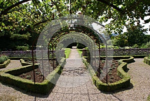 Garden rose arch