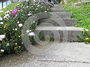 Garden's concrete stairs