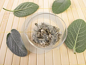 Garden sage, Salviae folium