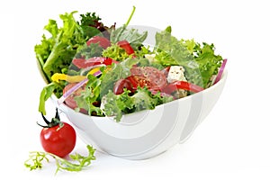 Garden Salad