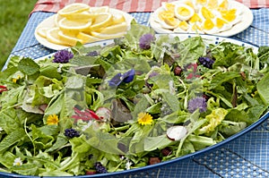 Garden salad with eatable flowers