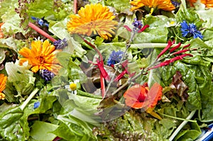 Garden salad with eatable flowers