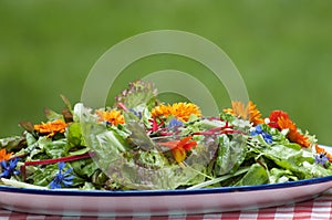 Garden salad with eatable flowers photo