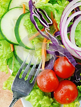 Garden Salad on Square Plate